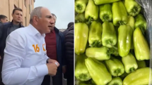 Նա Լյուդովիկոս 14-րդ չլինելով հանդերձ՝ պնդում է, թե կառավարությունը ինքն է. Կամենդատյանը՝ հարկատուի հաշվին բիբարի արտահանումը սուբսիդավորելու մասին