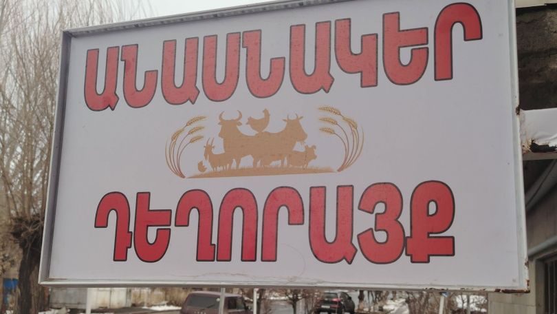 Ծեծկռտnւք Երևանի անասնակերերի խանութում