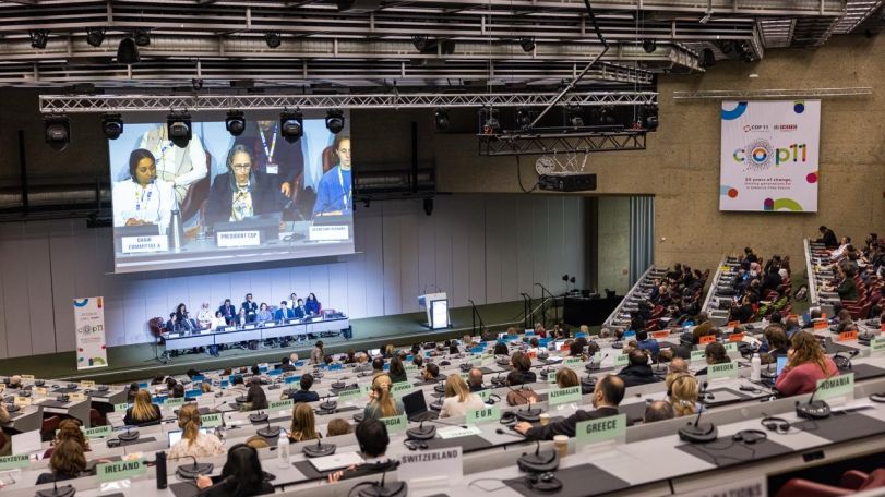 COP12-ը և Արձանագրության կողմերի հանդիպման հինգերորդ նստաշրջանը կայանալու են Երևանում 2027 թվականին. ՀՀ ԱԳՆ