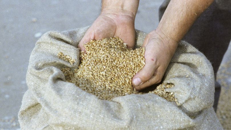 Armenia to receive new wheat shipments via Azerbaijan, minister says