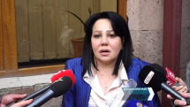 Հարված չի եղել, հաստատապես կարող եմ պնդել. Վարդուհի Էլբակյան