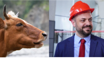 Փաշինյանի կառավարության օրոք անասունների գլխաքանակը կրճատվեց 25%-ով, իսկ Պապոյանը հերթական անարդյունավետ ծրագրի մասին է ավետում