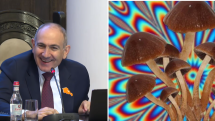 Չեմ մեկնաբանում. Փաշինյանի արձագանքն իր կողմից հալյուցինացիա առաջացնող սնկեր օգտագործելու մասին Սամվել Կարապետյանի հայտարարությանը