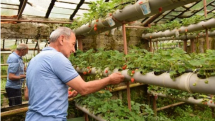 Կառավարությունը խթանում է թոշակառուների կողմից ջերմատների հիմնումը