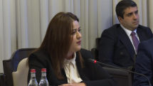 Օտար պետության ներդրողը ՀՀ-ից իրավունք ունի ակնկալելու իրավական և ֆիզիկական պաշտպանվածության երաշխիք. Էկոնոմիկայի փոխնախարար