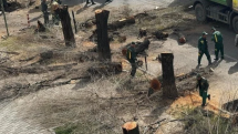 Ստորագրահավաք, ծառասպանդը դադարեցնելու պահանջով. Հայտարարություն