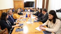 Арпине Саркисян приняла наблюдательную миссию Европарламента