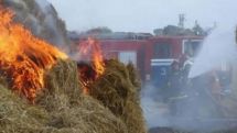 Այրվել է մոտ 700 հակ անասնակեր