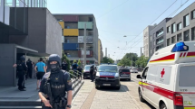 At least 9 killed in school shooting in Austria