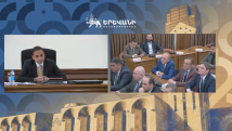 Այն ինչ կտրել ենք, ցավոք սրտի, դեռ դիմացի մայթին մի քանի թեղի մնացել է. Արմեն Բեգոյան