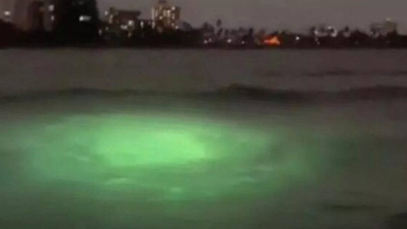 UFO tracker detects thousands of mysterious underwater objects near U.S. coastlines