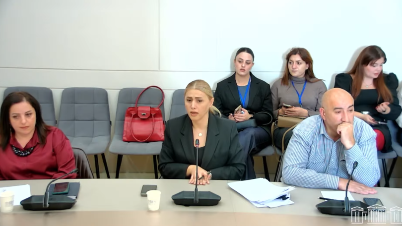 Պահանջվում է դատարանների անկախություն, ընդդիմադիր գործիչների նկատմամբ իրականացվող հետապնդումների դադարեցում. ԱԺ-ում քննարկվող հայտարարության տեքստից