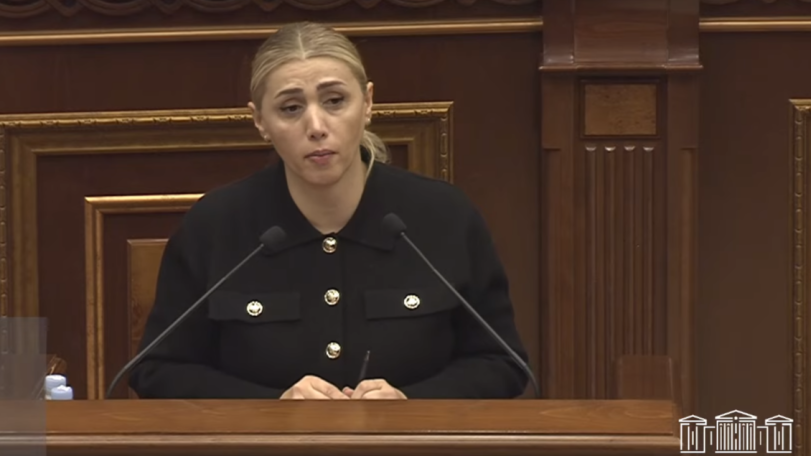 Элинар Варданян: Судебно-правовая система в Армении превратилась в политическую дубинку