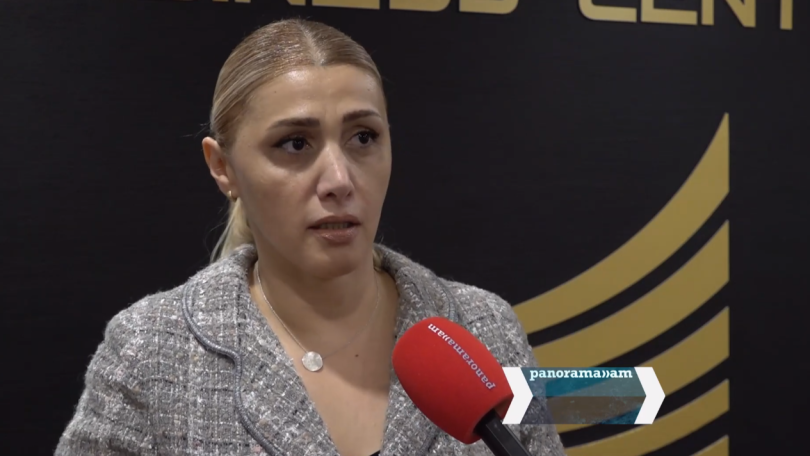 Opposition MP slams Pashinyan's 'dangerous' remarks about Artsakh Armenians
