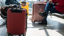 В Новой Зеландии арестовали женщину, перевозившую двухлетнюю дочь в чемодане