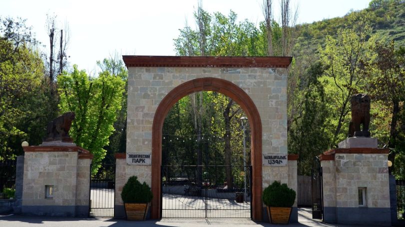 Երեխաների պաշտպանության միջազգային օրը, մինչև 16 տարեկանների համար կենդանաբանական այգի մուտքն անվճար կլինի