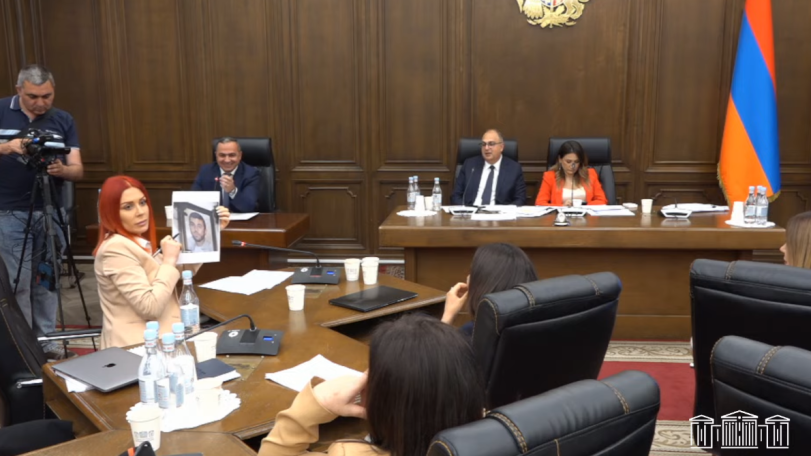Առգրավված 1 տոննա կոկայինը տեղո՞ւմ է, թե՞ ՔԿ վարչություններից մեկի պետը այն պարկ առ պարկ իրացրել է. Ագնեսա Խամոյանը՝ ՔԿ նախագահին