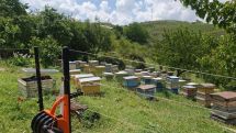 Առաջիկա շաբաթվա ընթացքում, որ օրերը ջերմաստիճանը կհասնի 40 աստիճանի