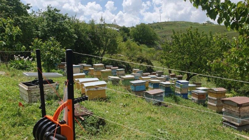 Առաջիկա շաբաթվա ընթացքում, որ օրերը ջերմաստիճանը կհասնի 40 աստիճանի