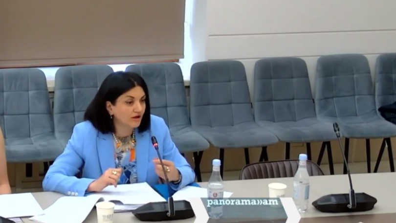 Պետական պատվերի մասը համակարգող Լենա Նանուշյանը ասում է թե չի տիրապետում այն հանելու մասին ահազանգերին. Անուշ Պողոսյան