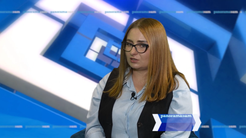 Պարոն Միրզոյան, դուք բանակցել եք ձեզ գժի տեղ դնելով. Քրիստինե Վարդանյանը՝ Արարատ Միրզոյանին
