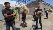 Թե բա մենք ռուսի հետույքը համապատասխան ձևով չենք լպստել, այ դրա համար պատժում են. Հարություն Մնացականյանը՝ ծաղկի արտահանման խնդրով