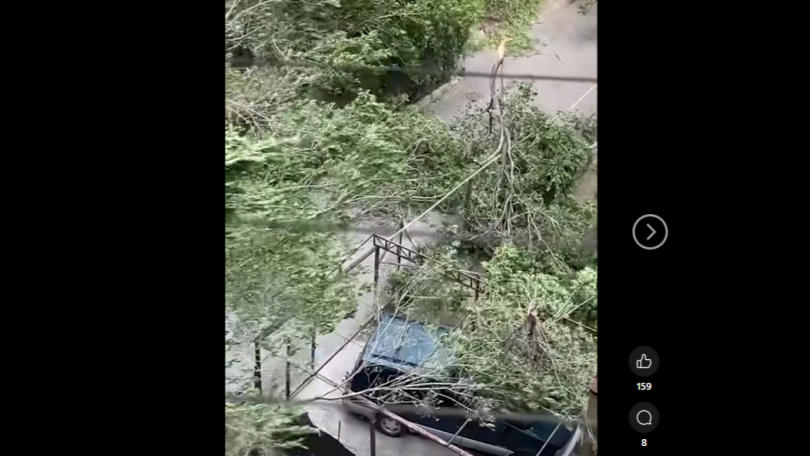 Երևանում քիչ առաջ ուժեղ քամու հետևանքով ծառեր են կոտրվել