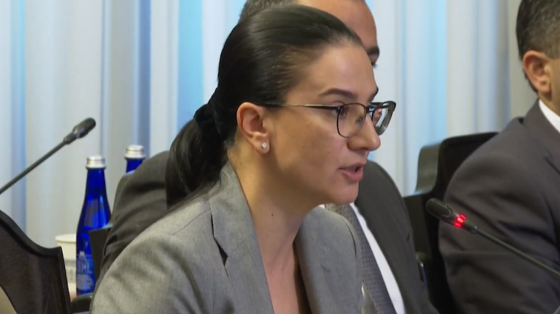 Վերականգնված միջոցների միասնական հաշվին 52.2 մլն դոլրա կա. Աննա Վարդապետյան
