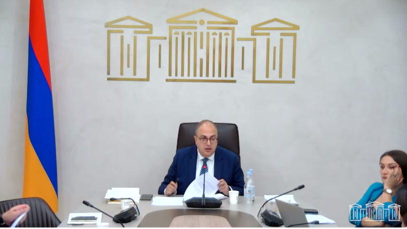 Դուք լո՞ւրջ եք ասում, որ Հայաստանում կա մարդու իրավունքների պաշտպանության տենց լուրջ հետնահանջ. Վարդանյանը՝ Մամիջանյանին