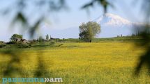 Արարատի վրա գտել են Նոյյան տապանի աստվածաշնչյան նկարագրության նման ստորգետնյա թունելներ. The Daily Mail