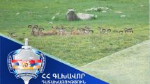 Ալիկ Սարգսյանի դեմ հարուցված գործով դատախազությունը մանրամասներ է հրապարակել