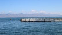 «Սևան Ակվա» ՓԲԸ-ին պատկանող ձկնատեսակներն իրացվել են սահմանված արժեքներից ցածր գներով, որի հետևանքով պաշտոնյաների կողմից վատնման եղանակով հափշտակվել է շուրջ 247 մլն դրամ
