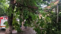 Strong winds cause damage in parts of Armenia