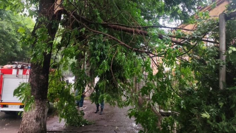 Strong winds cause damage in parts of Armenia