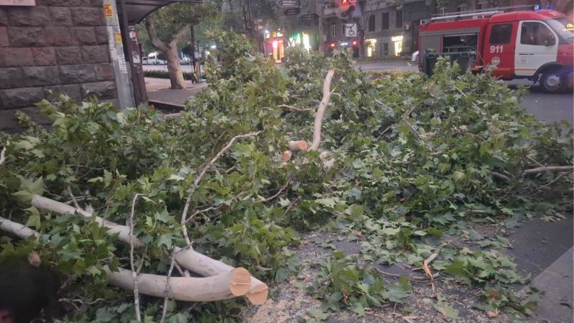 Քամու հետևանքով գրանցվել է արտակարգ 9 դեպք
