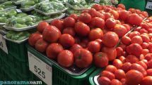 Արդյոք լոկ չիմացությո՞ւնն է, երբ հակադրվում են ինքնիշխանություն եւ լոլիկ հասկացություները. Քաղաքական վերլուծաբան