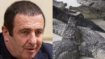 Во время перевозки крокодилов из особняка Царукяна легкие травмы получил сотрудник мэрии Еревана