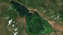 Sevan shows low levels of algal bloom in 2024–2025
