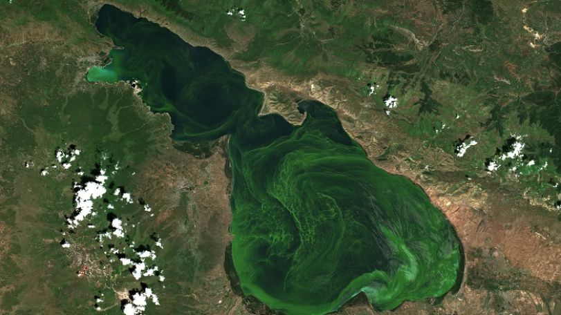 Sevan shows low levels of algal bloom in 2024–2025