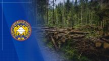 «Հայանտառ» ՊՈԱԿ-ի մասնաճյուղերի տնօրենը պետությանը պատճառել է առանձնապես խոշոր չափերով վնաս