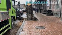 Բացարձակ անգրագիտություն է, հետևանքը՝ ողբերգություն. Բնապահպան