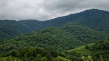 Twenty hikers lost in Teghut forest found safe