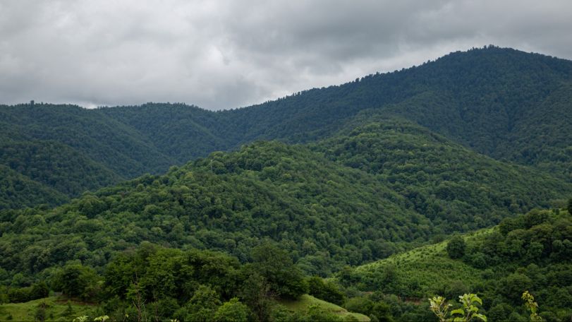Twenty hikers lost in Teghut forest found safe