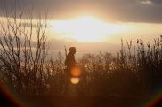 Azerbaijan violates ceasefire, then blames Armenia, MP warns