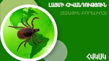 Ի՞նչ անել տզի խայթոցի դեպքում