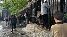В мэрии объяснили появление озер и рек после дождей в Ереване… благоустройством