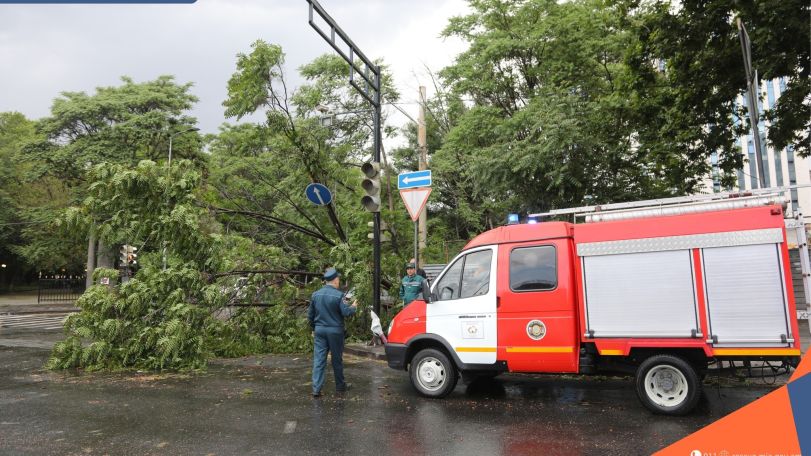 Քամու հետևանքով երեկ գրանցվել է արտակարգ 57 դեպք