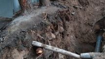 «Հիդրո Քոնսթրաքշն» ընկերությունը նորակառույց շենքի կոյուղու անցկացման ընթացքում վնասվել է ծառերի արմատները