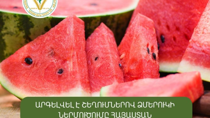 ՍԱՏՄ. Արգելվել է 213 տոննա ձմերուկի մուտքը Հայաստան