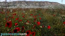 В Армении 16-17 июля температура воздуха постепенно понизится на 4-5 градусов